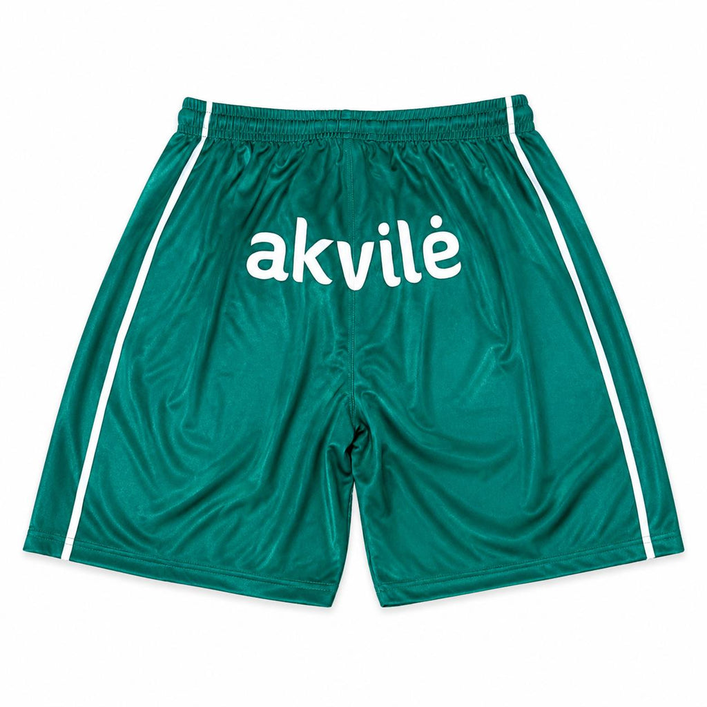 RSU ROBEZSARDZE Game Shorts